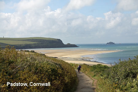 Coastal walk in Padstow, Cornwall