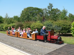 Steam train rides on holiday